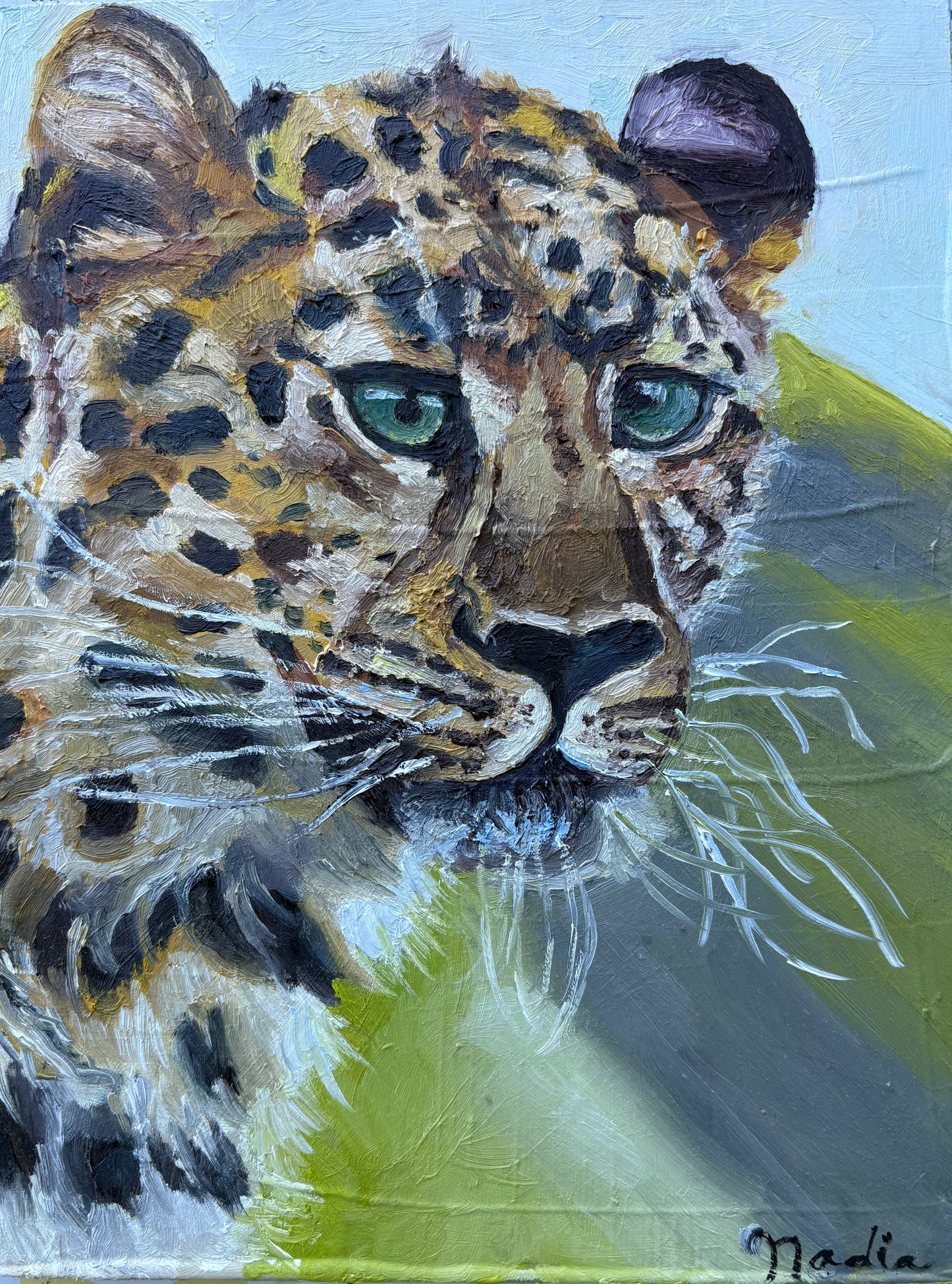 Leopard