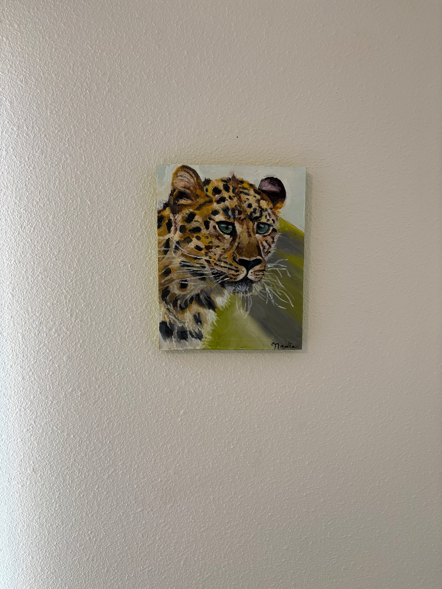 Leopard